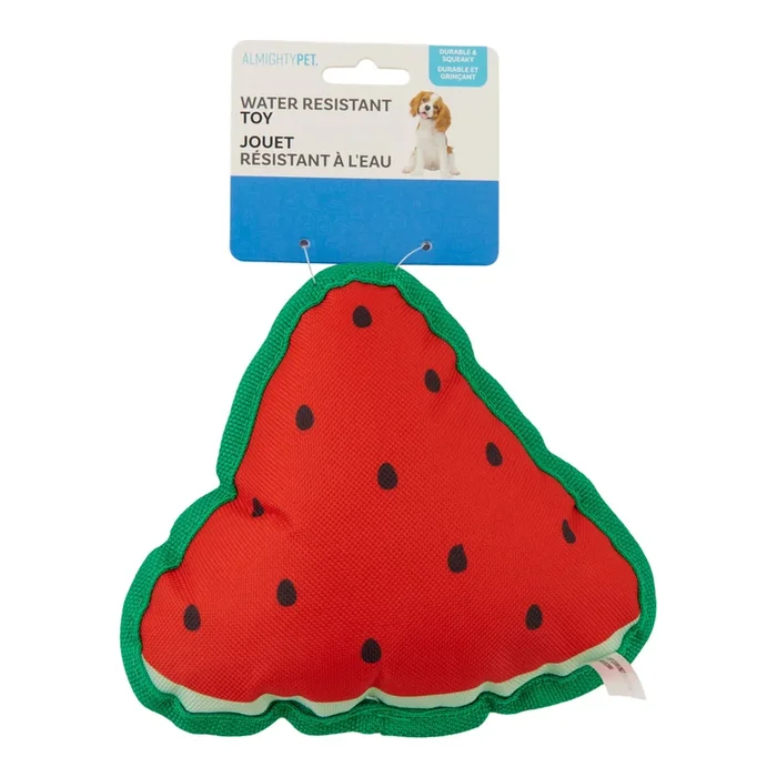 Crinkler Watermelon Waterproof Pet Toy