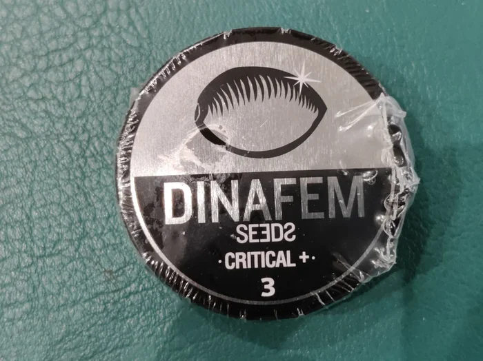 Critical + x3 – Dinafem