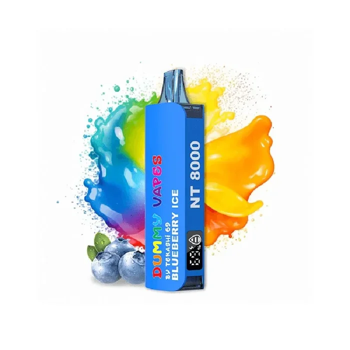 Dummy Vapes 8000 Puffs Disposable – Blueberry Ice