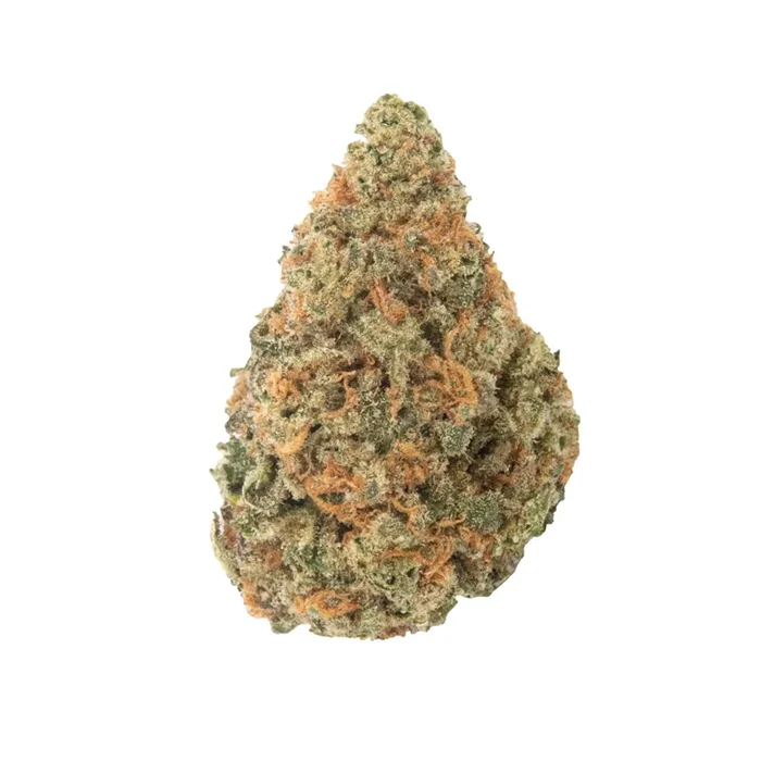 Haven St. No. 421 Twilight