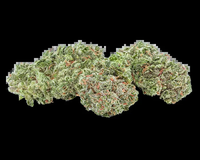 Highly Dutch Amsterdam Sativa