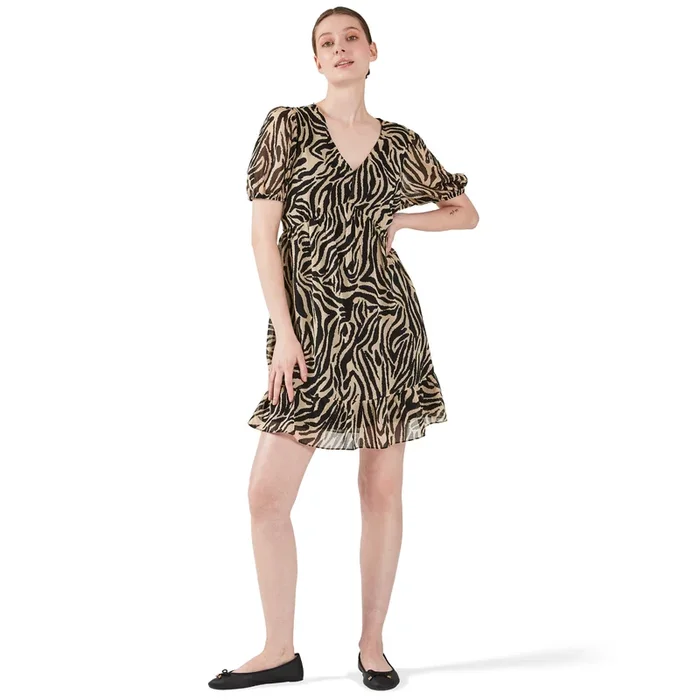 lily morgan Women’s Printed Chiffon Dress