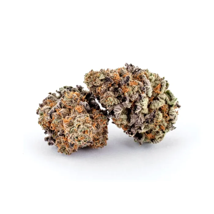 MBR Citizen Stash Mimoza