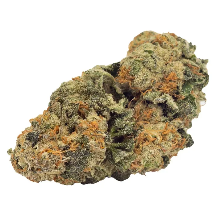 MBR FIGR Notable Nancy