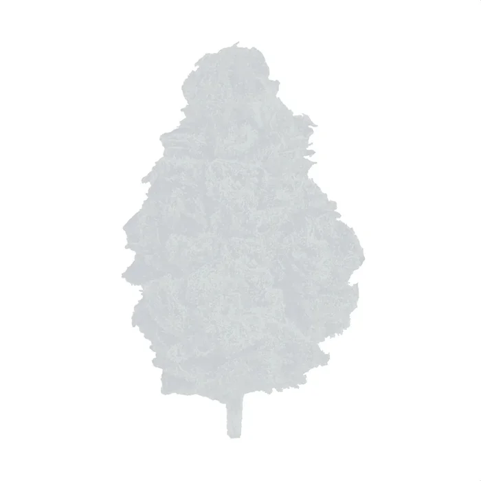 MBR Grown Here Farms Hemp