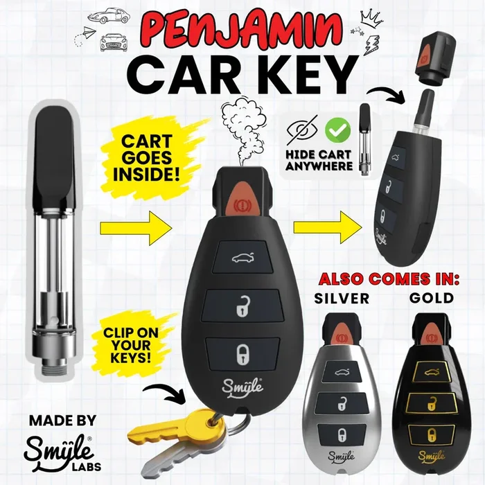 PENJAMIN CAR KEY EDITION BATTERY