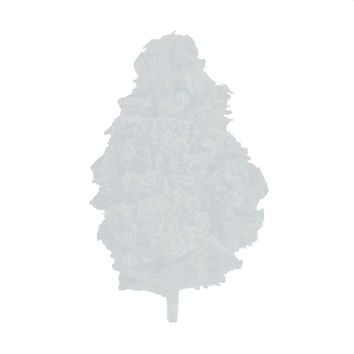 Sitka Micro Collection Ice Wreck