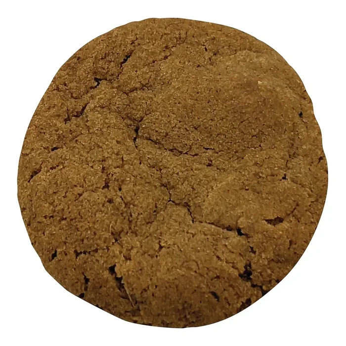 Slow Ride Bakery Spicy Ginger Cookie
