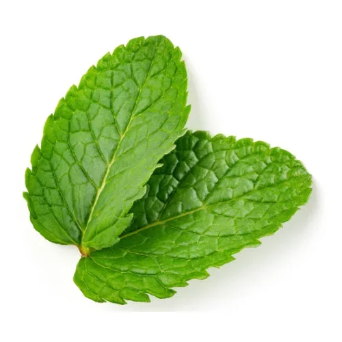 Spearmint (Hangsen) 10ml