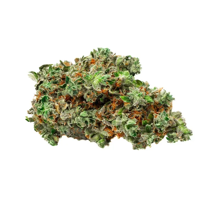 TSK BOLD Root Beer Float