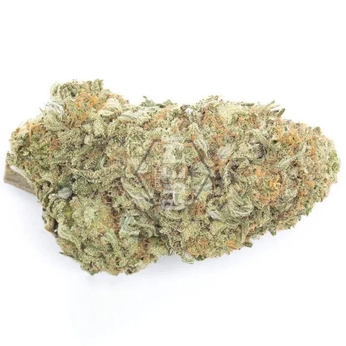 TSK BOLD The Vision Flower