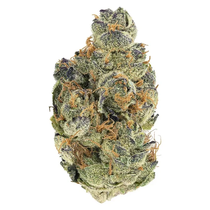 TSK Edison GMO Cookies