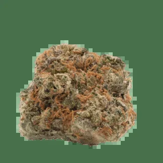 TSK Haven St. No. 428 Secret Address