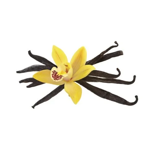 Vanilla 10ml (Aroma) (Atmos Lab)