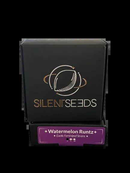 Watermelon Runtz x3 – Silent (Ex Dinafem)