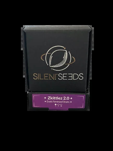 Zkittlez x3 – Lautlos (Ex Dinafem)